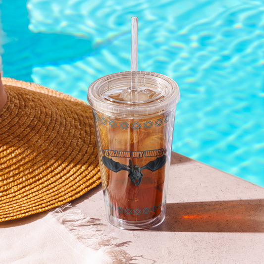 How to Train Your Dragon Follow My Wings Clear Tumbler